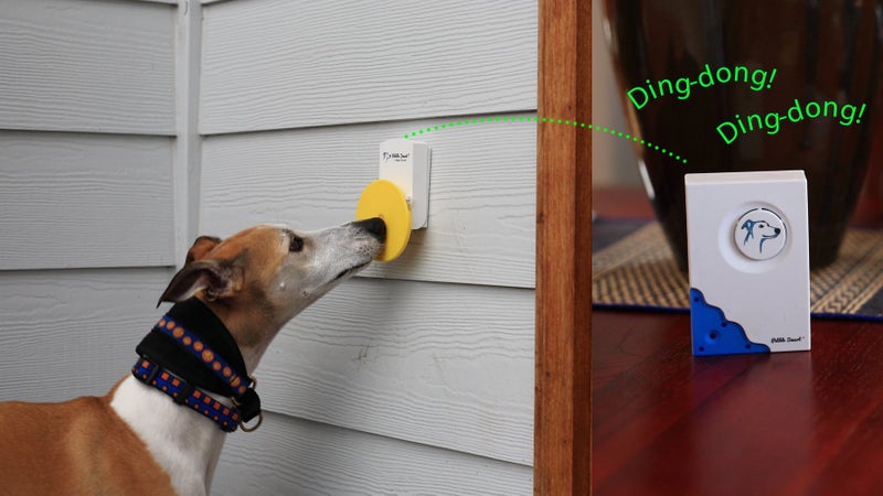 Pebble Smart Doggie Doorbell - Blue Accent - Image 3